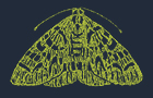 ACA_2526_TheMoth_thumbnail_140x90.jpg